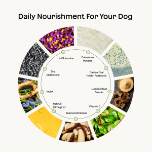 Advanced K9 Microbiome Care