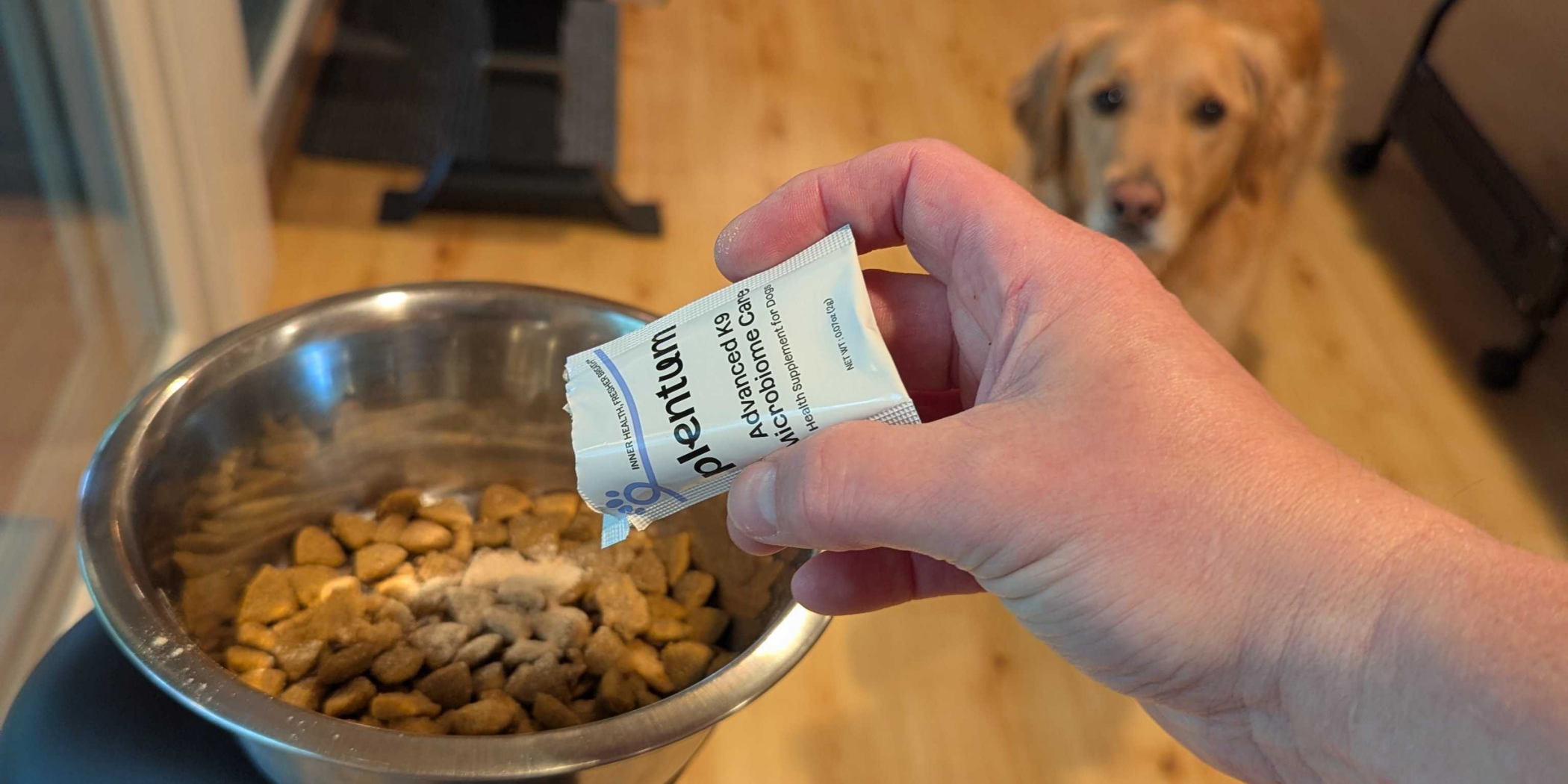 Why Powder? The Plentum Advantage Over Traditional Dog Supplement Chews