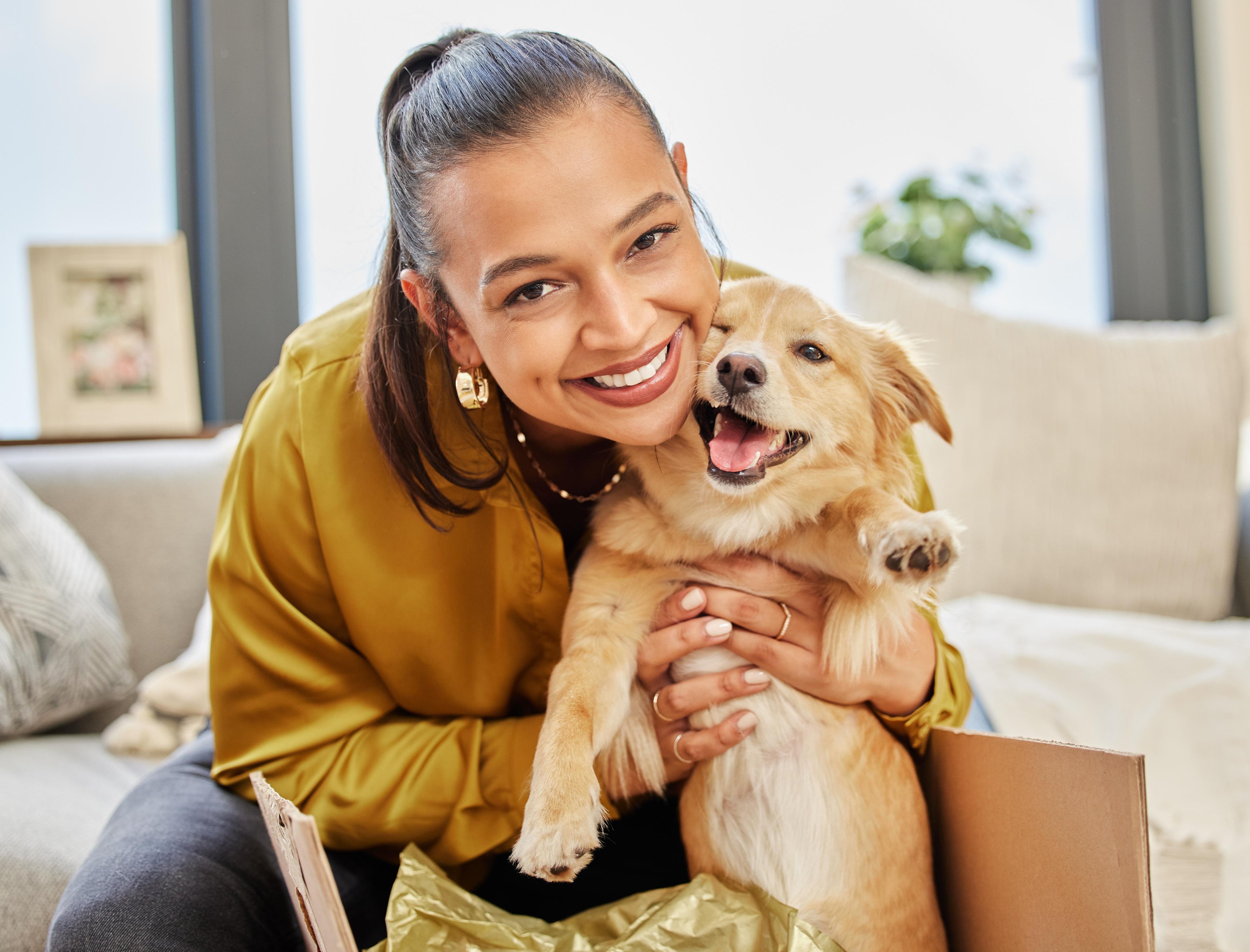 It's About Time We Return The Favor: Welcome to Plentum & The Future of Dog Wellness